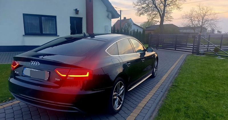 Audi A5 cena 59500 przebieg: 215000, rok produkcji 2015 z Toruń małe 67